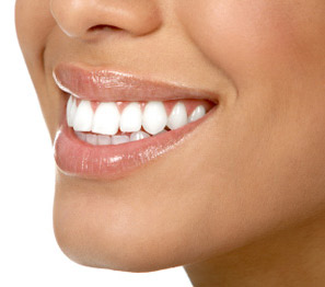 Teeth Whitening Tampa FL | Dentist Tampa | 813.839.2273 - Tampa Tooth Whitening FL Florida - Dr Marnie Bauer is a general dentist and does teeth whitening in South Tampa / Tampa and the surrounding area. - Tampa Teeth Whitening Specialists | Tooth Whitening Specialists Tampa